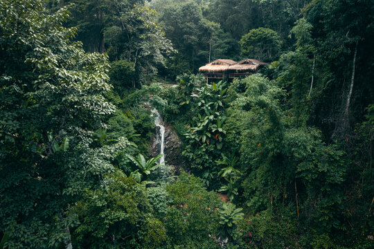 Aerial View of Hidden Waterfall in Dense Tropical Jungle
