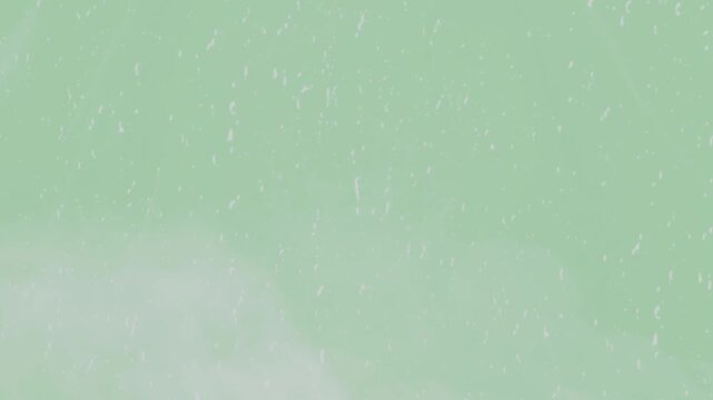 Pale green textured background displaying fine white particulate details and gentle gradient shading suitable for professional presentations.
