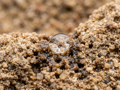 Pure Water Dew Drop Resting on Coarse Golden Sand Grains Macro