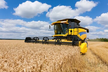 Obraz premium The Combine Harvester Dominates a Vast Golden Wheat Field Under Bright Sky