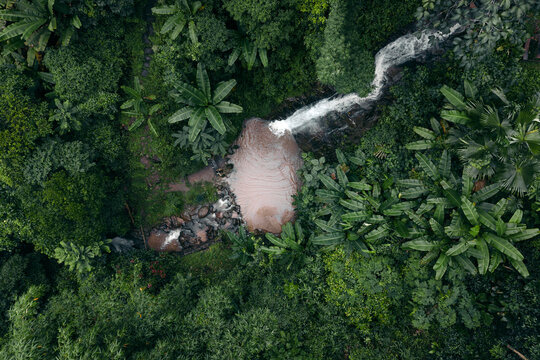 Top Down Aerial View of Waterfall and Stream in Tropical Forest