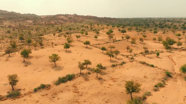 Wide drone view of a lone 4x4 crossing the Thar Desert in Sindh, Pakistan, surrounded by scattered thorn trees, orange sand and rocky hills on the horizon.