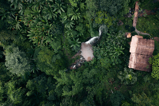 Top Down Aerial View of Waterfall and Stream in Tropical Forest