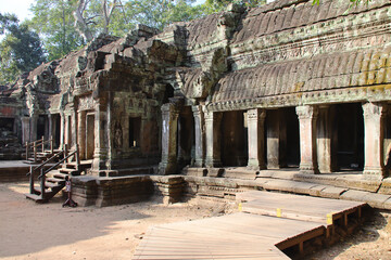 Obraz premium ruined buddhist and hindu khmer temple (ta prohm) in angkor in siem reap in cambodia 