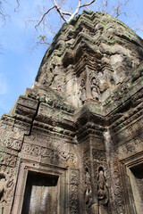 Obraz premium ruined buddhist and hindu khmer temple (ta prohm) in angkor in siem reap in cambodia 