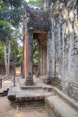 Obraz premium ruined buddhist and hindu khmer temple (ta prohm) in angkor in siem reap in cambodia 
