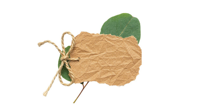 Torn brown paper tag tied with twine and green leaf, isolated on transparent background