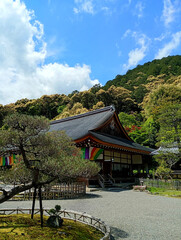 Fototapeta premium temple in Kyoto Japan 