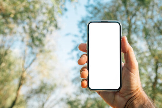 Smartphone with an empty white display held outdoors against blurred trees and blue sky. Mobile device mockup, digital marketing, technology, communication and copy space concept.