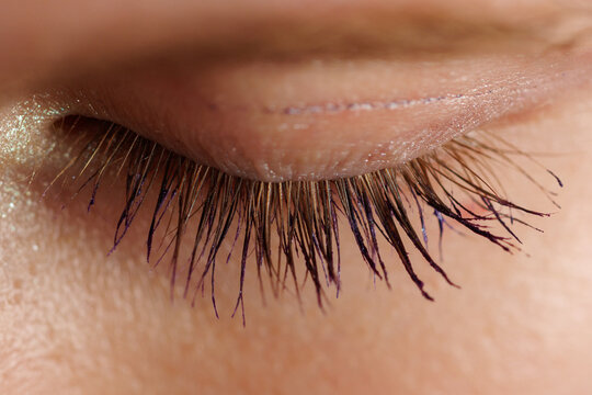 Close-up of human eyelashes with natural texture and slight curl
