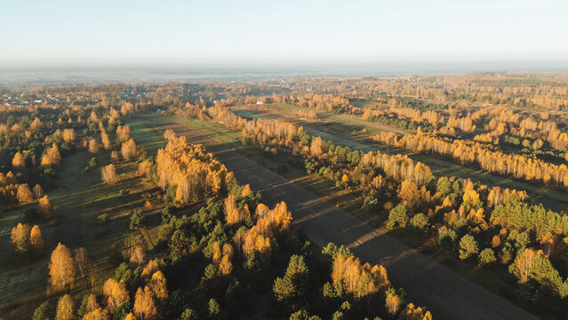Aerial view of vibrant fall foliage