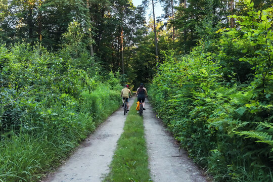 Mountain Biking and Outdoor Recreation in Summer