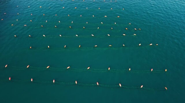 Aerial View of Oyster and Mussel Farm Construction in Montenegro
