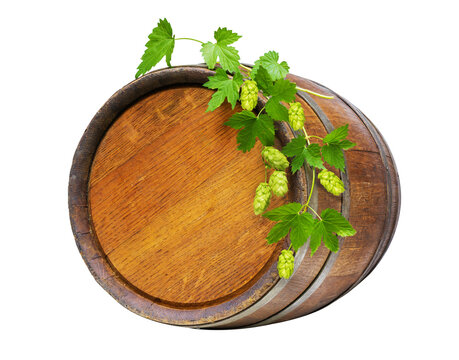 wooden barrel with fresh green hops isolated on transparent background