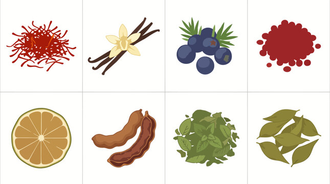 Set of Culinary Herbs and Spices Vector Grid Featuring Saffron Vanilla Beans Juniper Berries Pink Peppercorns Lime Tamarind Mint Leaves and Bay Leaves Isolated
