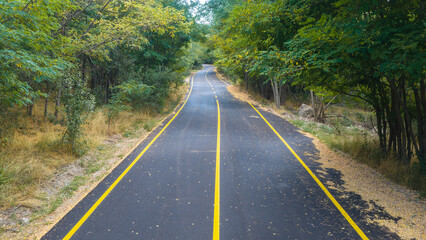 Obraz premium A view of an empty, yellow-striped asphalt road winding through the forest, with yellowed fallen leaves lining its edges.