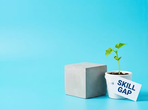 Small plant tagged skill gap next to a block suitable for career and HR topics symbolizing growth learning needs and overcoming challenges