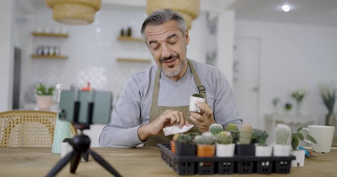senior caucasian man working gardening cactus succulent