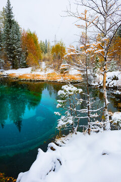 Geyser lake with turquoise water in Altai mountains, Siberia, Russia. Yellow autumn trees with snow on the shore of lake.