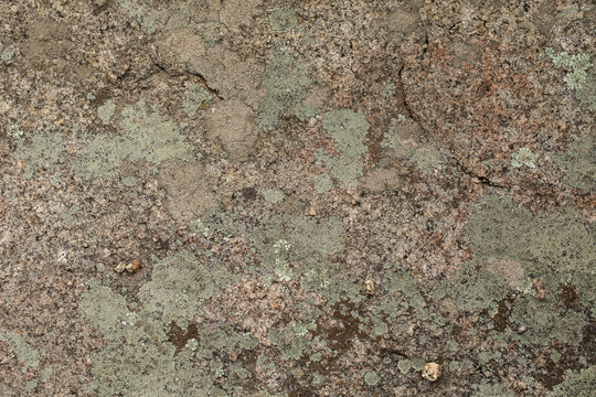 Detailed texture of a weathered granite stone covered with greenish-grey lichen.