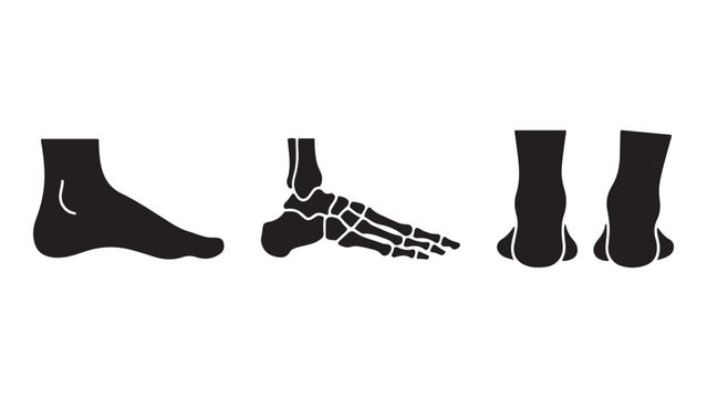 Human Foot Silhouette and Skeletal Bone Anatomy Icons