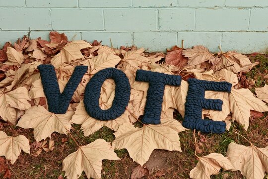 Navy blue felted letters spelling vote resting on wet autumn leaves by a cinder-block wall, minimalist composition for election day themes