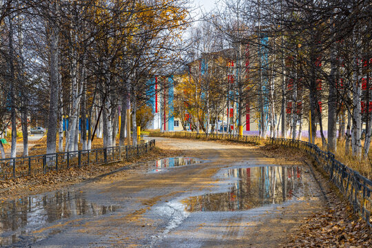 View of the street in a small town in Siberia. Autumn season. Puddles and fallen leaves on the road. Multicolored buildings. Travel to Siberia and the Russian Far East. Klyopka, Magadan Region, Russia