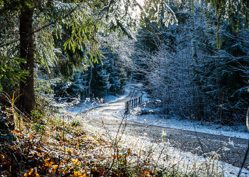 beautiful sunny winter day from the park, first snow on the trees, snowy trails
