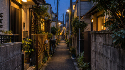 Fototapeta premium Narrow Residential Alley in Japan at Dusk