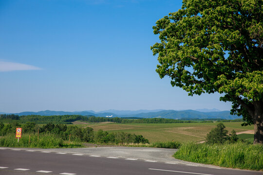 Lonely Seven Stars Tree standing by the roadside on rolling green hill with majestic snow-peaked Tokachidake mountain range under clear blue sky during summer in Biei, Hokkaido, Japan.