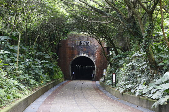 An old brick railway tunnel stands in a green forest.