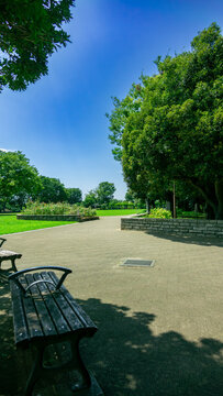 Green Lawn Grass Field and Pedestrian Bridge under Clear Blue Sky in Nogeyama Park Yokohama