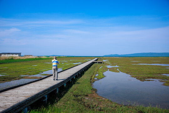 Scenic wooden boardwalk walkway through Tofutsu Lake wetland and marshland in Abashiri, Hokkaido, Japan
