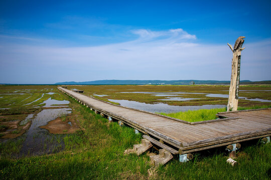 Scenic wooden boardwalk walkway through Tofutsu Lake wetland and marshland in Abashiri, Hokkaido, Japan