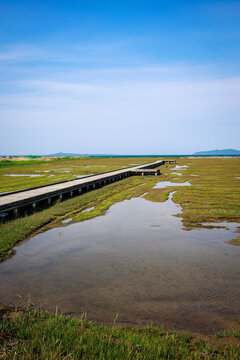 Scenic wooden boardwalk walkway through Tofutsu Lake wetland and marshland in Abashiri, Hokkaido, Japan
