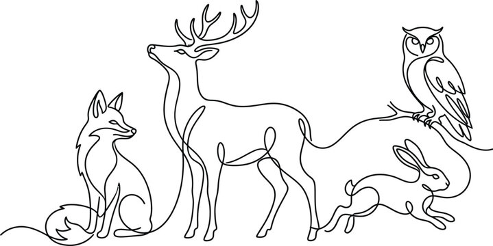 vector illustration of a deer