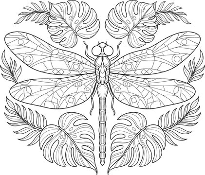 Dragonfly vector illustration with detailed tropical monstera leaves for adult coloring book design