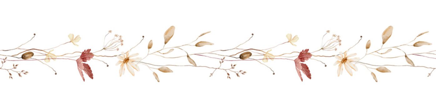 Hand painted watercolor seamless horizontal banner with cream daisies, maroon maple leaves, dried seed pods, wheat and green sprigs, repeating autumn botanical strip isolated on white background