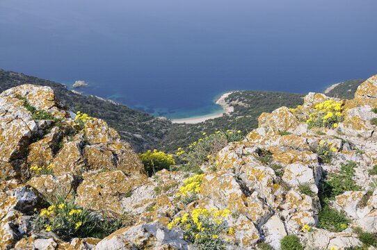 Overlooking the sandy beach below Lubenice on Cres, Croatia, Europe