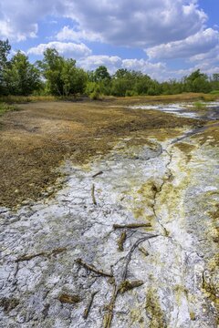 Soos Mineral Moor, Skaln&aacute;, Karlovarsk&yacute; kraj, Czech Republic