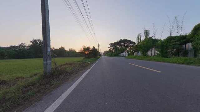 Scenic rural road at sunrise with green farmland, tropical trees and utility poles, creating a peaceful countryside landscape and outdoor travel atmosphere.