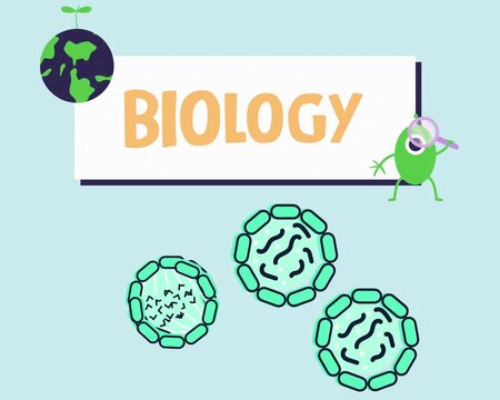 Biological science of blood cell
