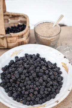 Blackberries, Rubus sect. Rubus, La Lastra del Cano, Sierra de Gredos, Spain