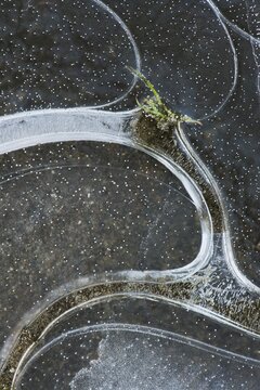 Ice structures, Emsland, Lower Saxony, Germany