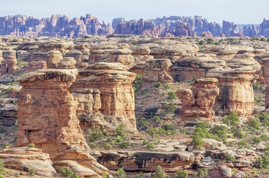 Sandstone pinnacles, Chesler Park, The Needles district, Canyonlands National Park, Utah, USA
