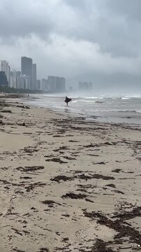 A lone figure walks along a sandy beach with seaweed. The skyline of a city is visible in the background under a cloudy sky.