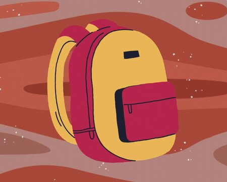 The New Bag Model