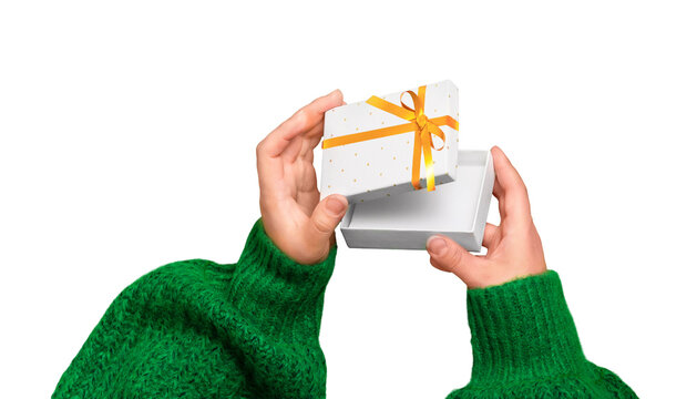Female hands in green sweater holding a small white gift box with gold ribbon isolated on transparent background with copy space for holidays and celebrations
