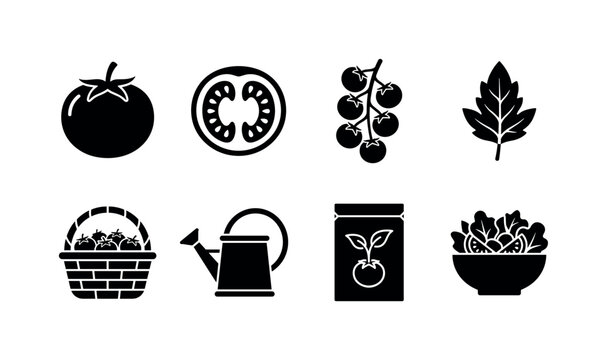 Fresh Tomato Garden, solid glyph icon set featuring tomato, tomato slice, tomato cluster, leaf, garden basket, watering can, seed packet, salad bowl, covering fresh tomato, healthy food, gardening,