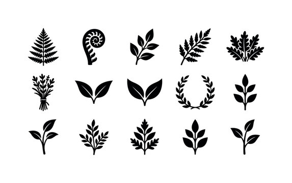 Fern Botanical Leaves, solid glyph icon set featuring fern frond, curled fern, leaf sprig, botanical branch, garden stem, leaf pair, forest plant, wreath segment, herb bundle, plant cutting, covering